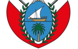 Dubai-Government-400x562