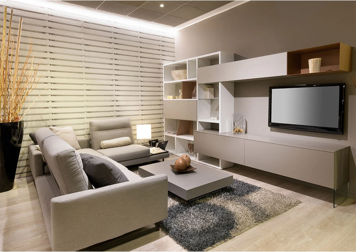 Home Entertainment Systems